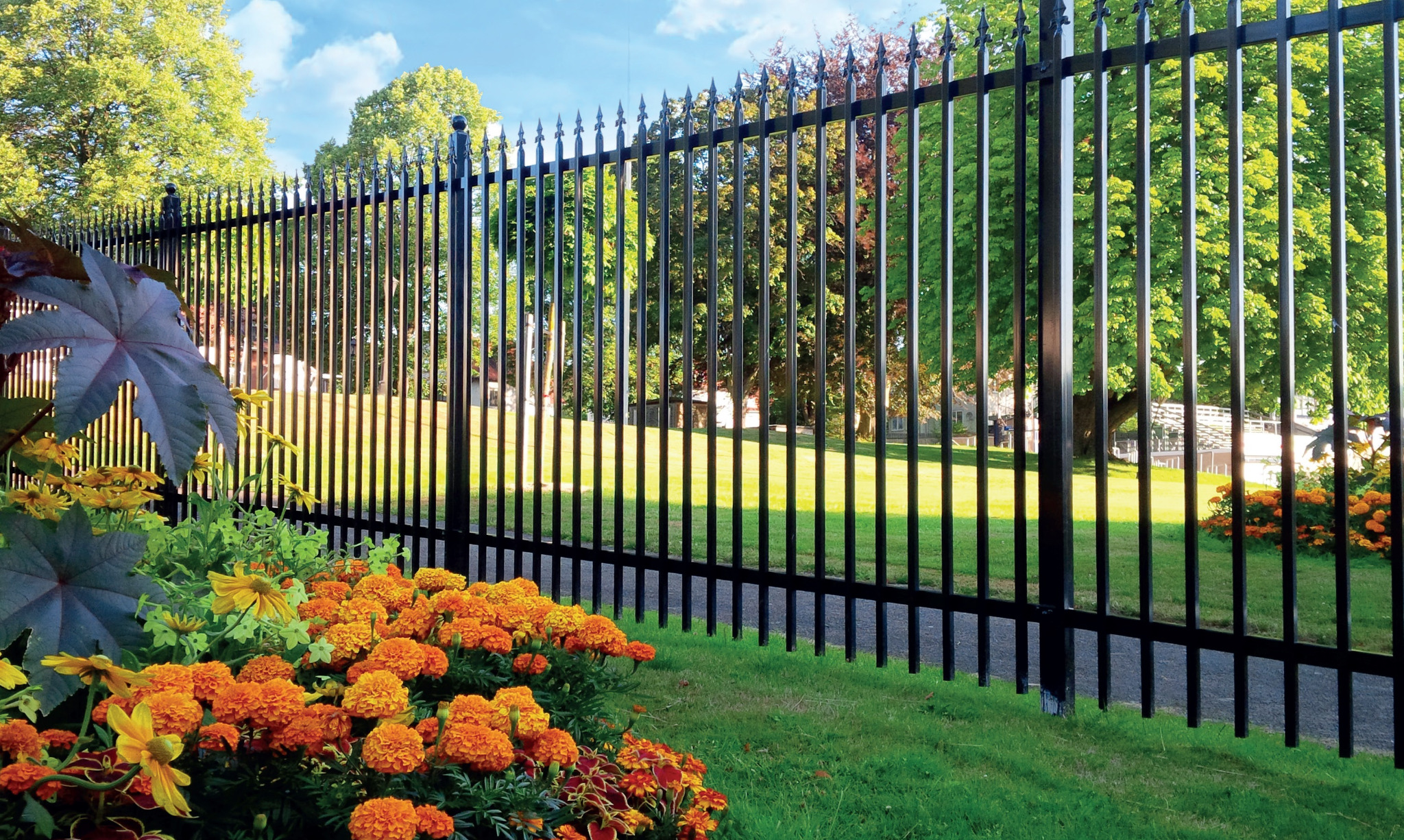 Czarny, metalowy płot z ostrymi zakończeniami słupków, otoczony zielenią trawnika i pomarańczowymi kwiatami na pierwszym planie, z drzewami i budynkami w tle.