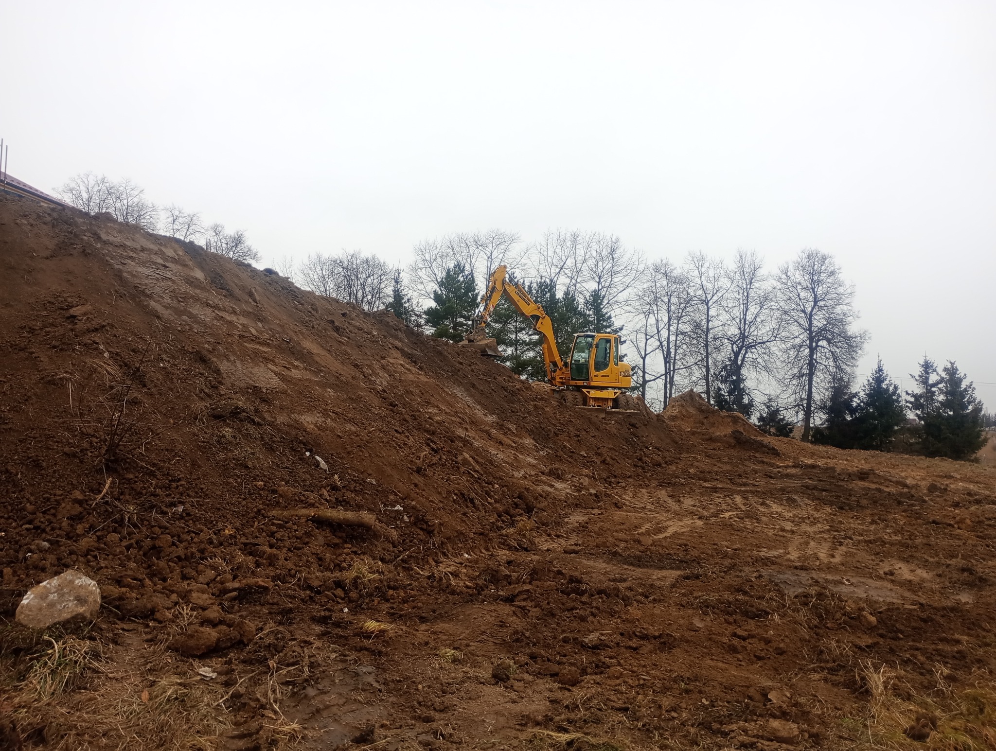 Żółta koparka Liebherr 309 na zboczu ziemi, w tle drzewa bez liści i pochmurne niebo.