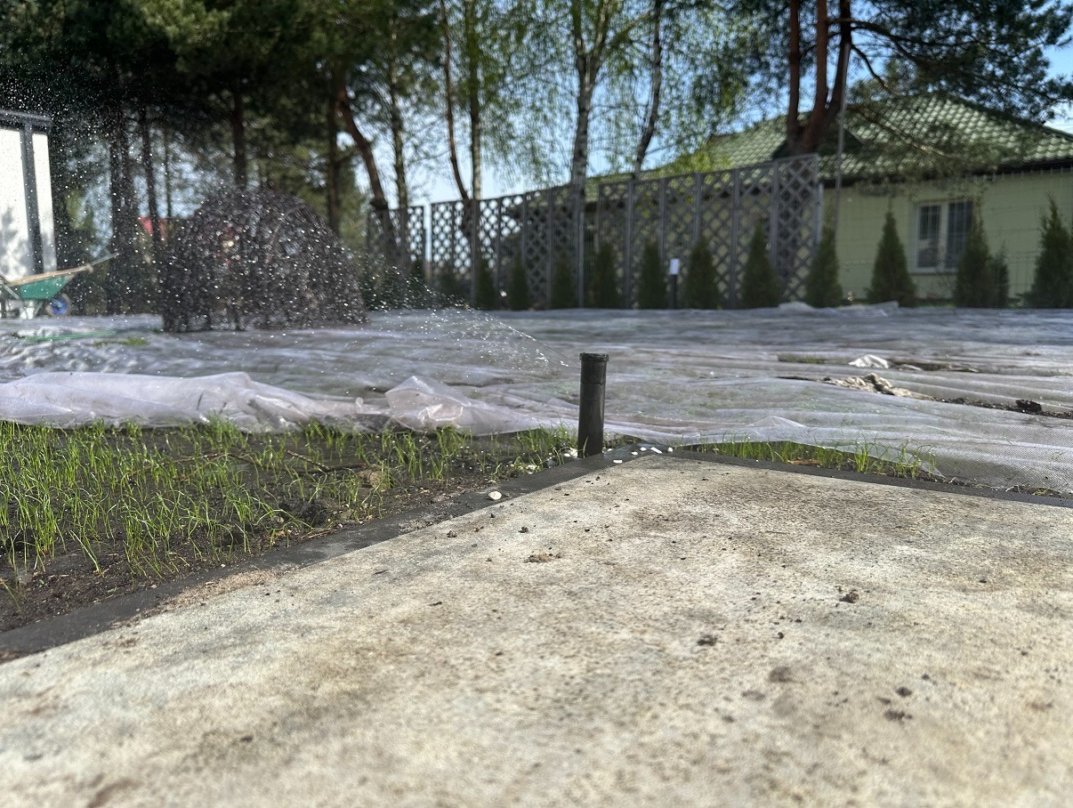 Automatyczny system nawadniania w trakcie pracy, nawilżający świeżo posiany trawnik przykryty agrowłókniną, w tle widoczny dom z zielonym dachem i dekoracyjne tuje.