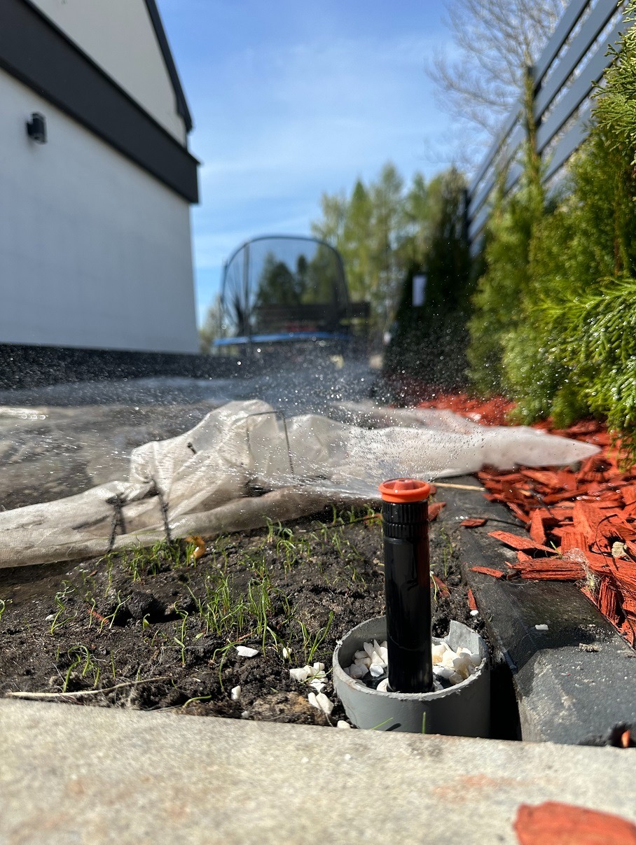 Nisko położony zraszacz ogrodowy, spryskujący wodą świeżo posianą trawę, osłoniętą białą agrowłókniną, z widocznymi czerwonymi zrębkami kory i elementami małej architektury ogrodowej w tle.