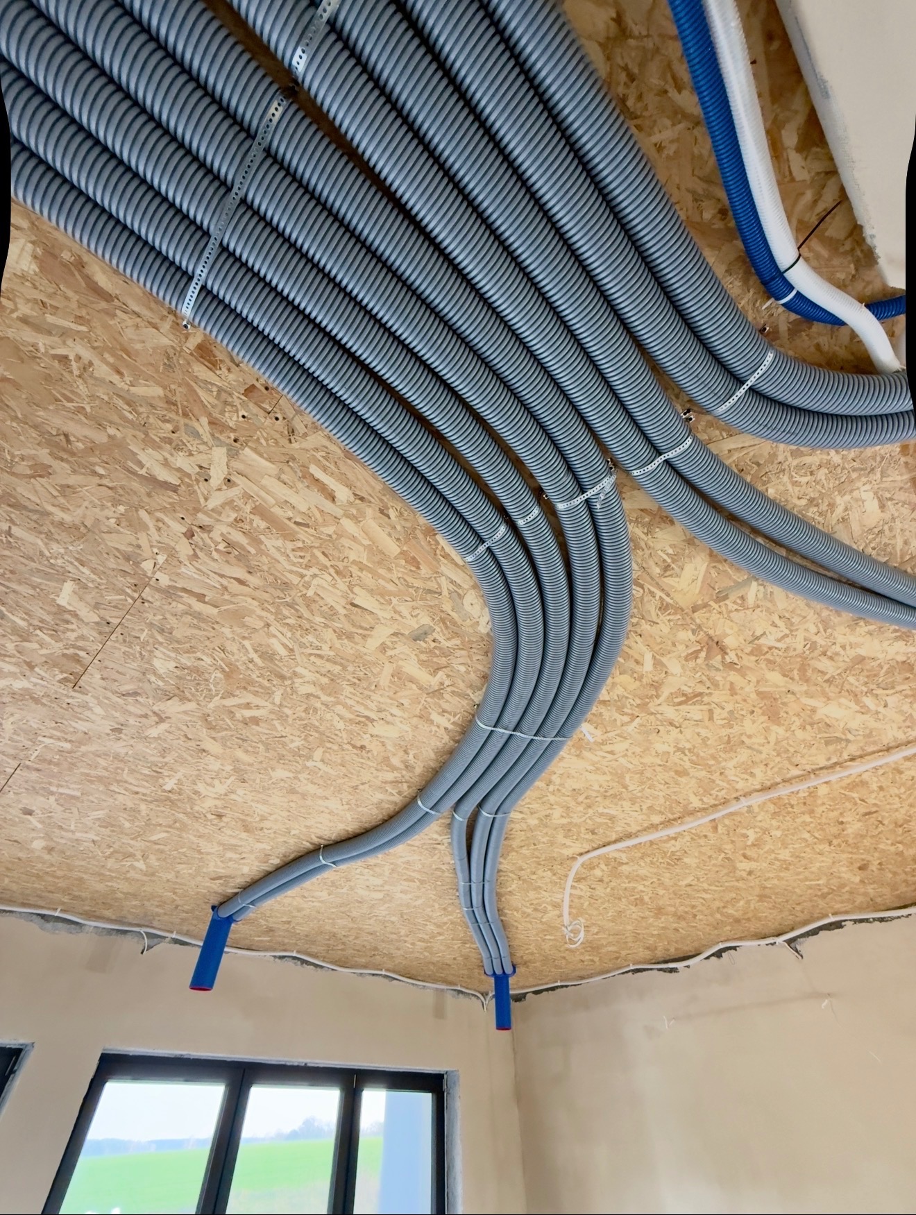 Szare, karbowane rury instalacyjne przymocowane do drewnianego sufitu płyty OSB, z niebieskimi elementami mocującymi, układające się wachlarzowo. Widok z dołu, w tle okno.
