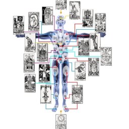 Niektóre rodzaje napięć cielesnych można usunąć za pomocą Tarota.