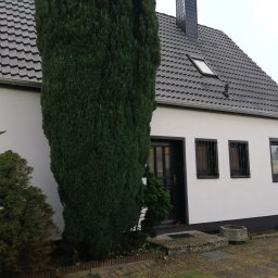 PIMMAR SPÓŁKA Z OGRANICZONĄ ODPOWIEDZIALNOŚCIĄ - Biały dom z czarnym dachem krytym dachówką, czarnymi oknami z kratami i dużą, ciemnozieloną kolumnową rośliną iglastą zasłaniającą część fasady.