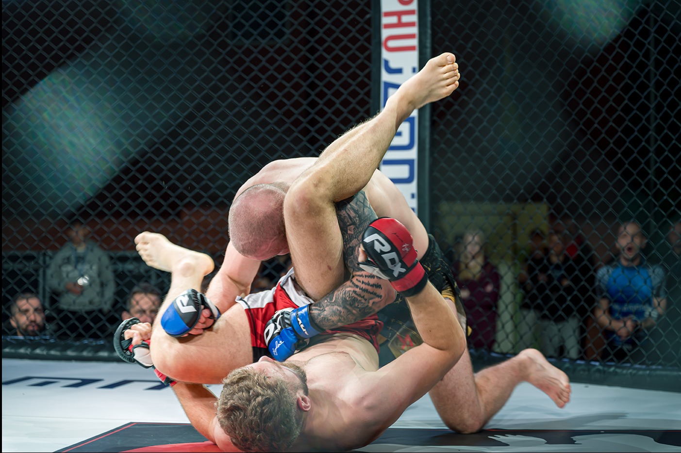 Dwóch zawodników MMA w trakcie walki, jeden z nich w pozycji dominującej, leżący na macie pod siatką ringu, publiczność obserwuje w tle.
