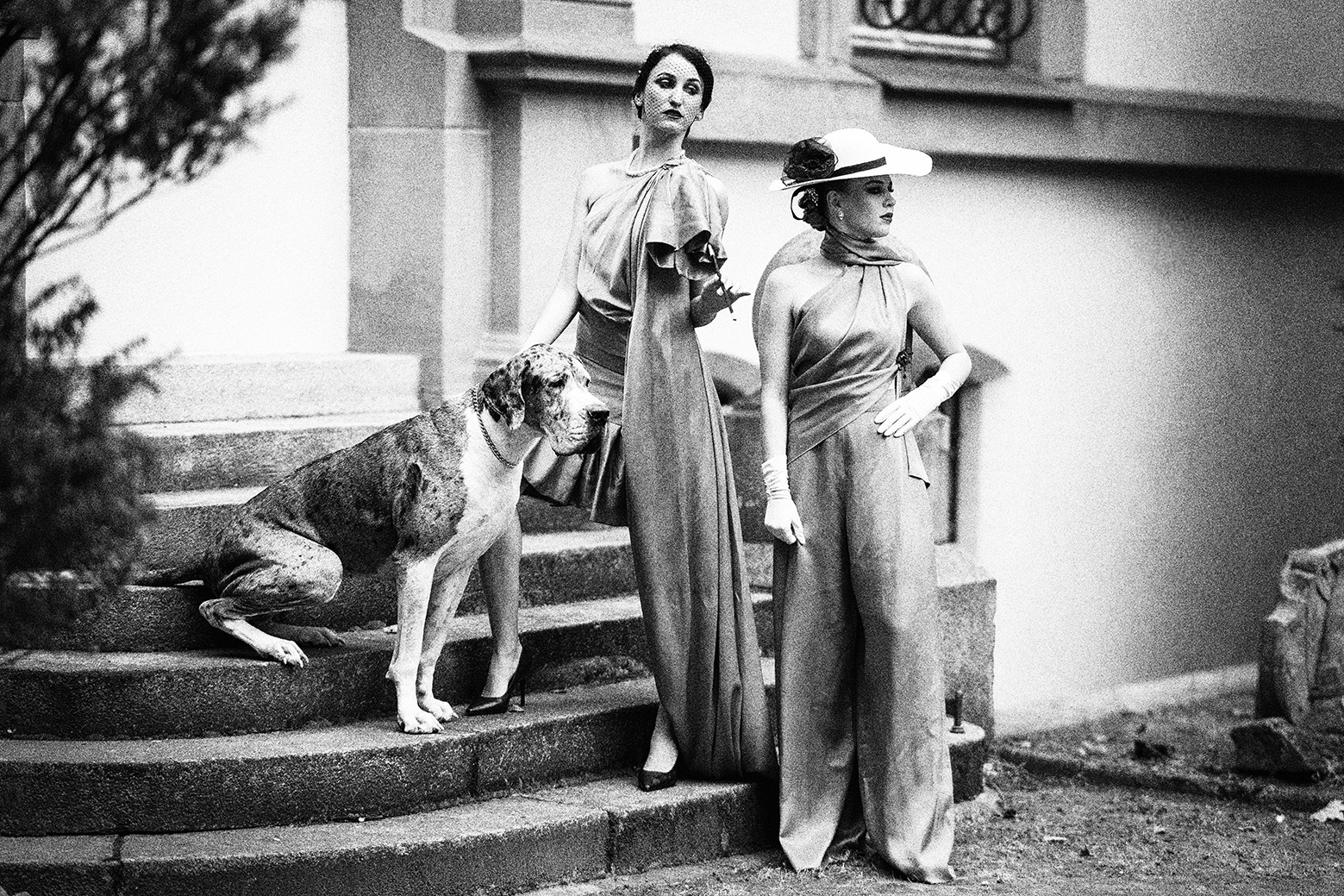 Czarno-białe zdjęcie dwóch kobiet w eleganckich sukniach, stojących na schodach obok doga niemieckiego z obrożą, stylizowane na retro.