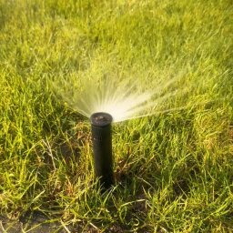 Czyste Powietrze Włoszakowice 1