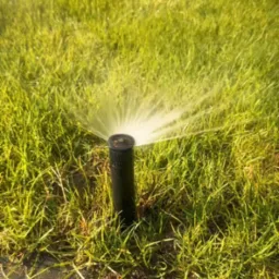 Czarny zraszacz turbinowy nawadnia intensywnie zielony trawnik, rozpryskując wodę na boki. Widok z bliska, oświetlenie słoneczne, trawa gęsta i soczysta.