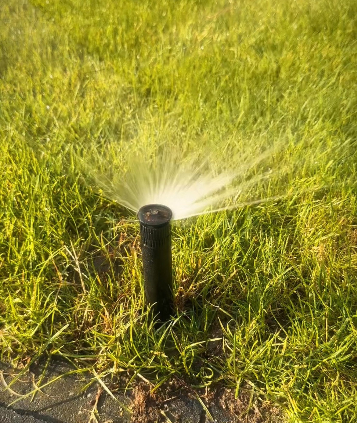 Czarny zraszacz turbinowy nawadnia intensywnie zielony trawnik, rozpryskując wodę na boki. Widok z bliska, oświetlenie słoneczne, trawa gęsta i soczysta.