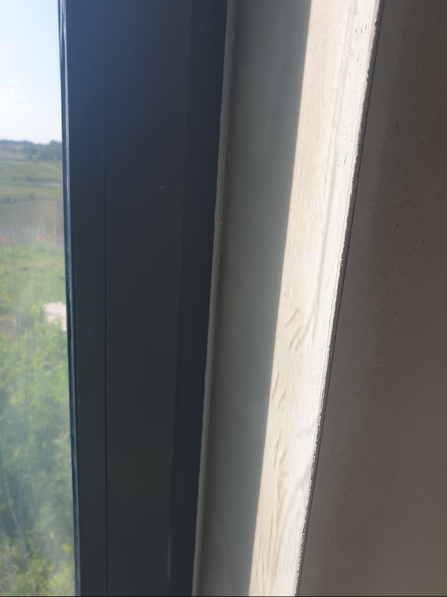 Świeżo nałożony, jasny tynk na ścianie, widoczny z bliska z oknem w tle. Na tynku delikatne cieniowanie i nierówności powierzchni.