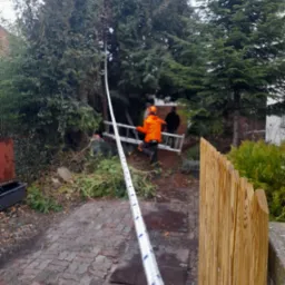 Praca przy wysokich drzewach: widoczna lina, pracownik w pomarańczowej kurtce z drabiną w tle, teren po wycince gałęzi, drewniany płot w pierwszym planie.