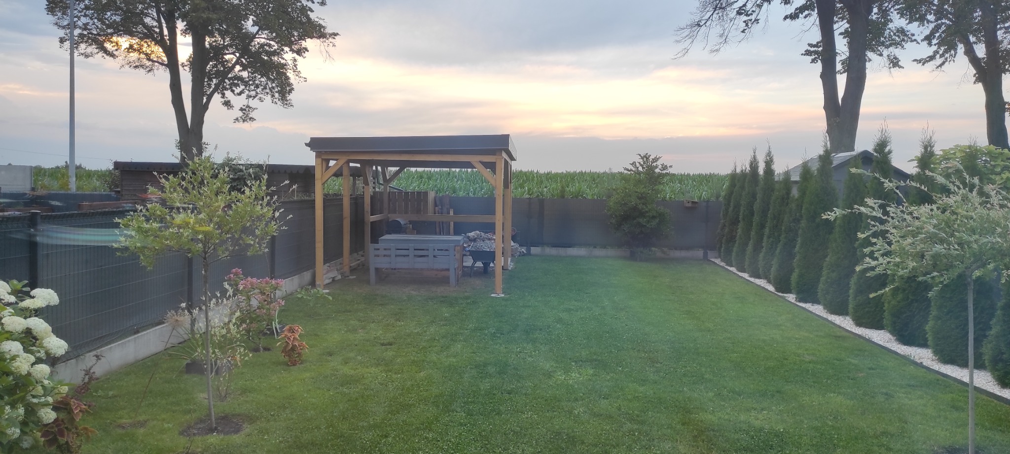 Drewniana altana z szarą ławką wewnątrz, widok na zadbany trawnik, rząd tuj i pole kukurydzy w tle, oświetlone zachodzącym słońcem.