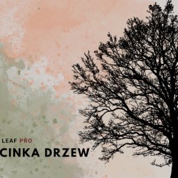 Arbor Leaf PRO - Znakomita Ścinka Drzew Oświęcim
