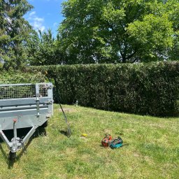 Wycinka drzew Oświęcim 2