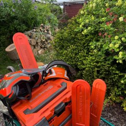 Wycinka drzew Oświęcim 4