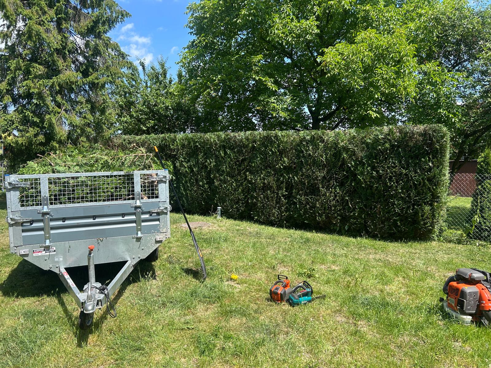 Przycięty żywopłot z przyczepką i narzędziami ogrodniczymi na trawniku w słoneczny dzień. Widoczne dwie piły łańcuchowe i dmuchawa do liści.