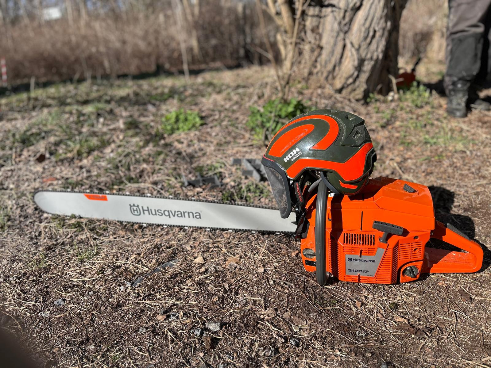 Pomarańczowa pilarka Husqvarna 3120XP z kaskiem ochronnym Kox Edition na tle ściółki leśnej i pnia drzewa. Sprzęt do prac związanych z pielęgnacją zieleni.