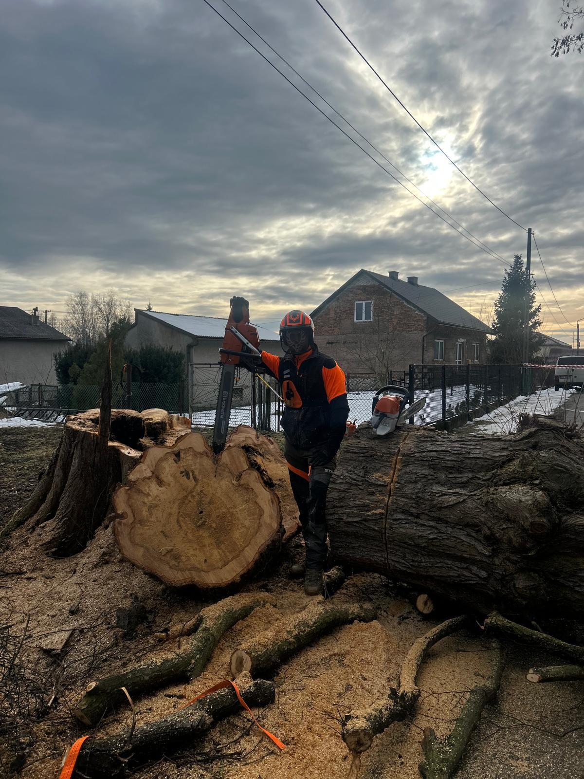 Pracownik w stroju ochronnym z piłą spalinową obok pnia i pociętego drzewa. W tle zabudowa jednorodzinna i pochmurne niebo.