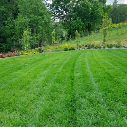 Green Forest Marcin Warchoł - Profesjonalne Nawożenie Roślin w Chrzanowie