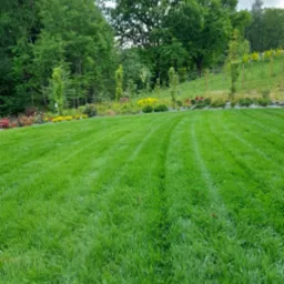 Perfekcyjnie skoszony trawnik z widocznymi pasami, na tle zadbanego ogrodu z drzewami i rabatami kwiatowymi w odcieniach zieleni, żółci i czerwieni.