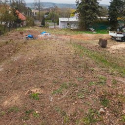 Green Forest Marcin Warchoł - Przed domem Chrzan&oacute;w