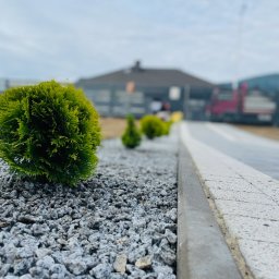 Remont Yaroslav Mazur - Ułożona kostka brukowa z obrzeżem, wysypana szarym grysem i obsadzona kulistymi tujami na tle budynku i ciężarówki.