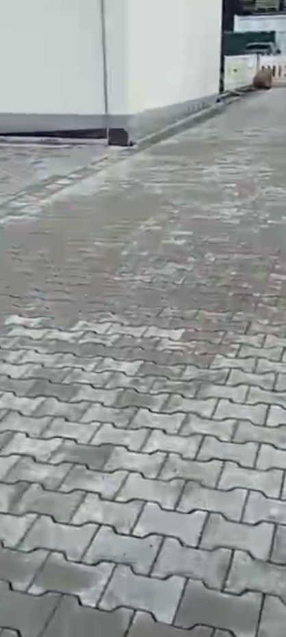 Szara kostka brukowa ułożona wzorem jodełki przy budynku. Widoczne delikatne zabrudzenia na powierzchni kostki. Ujęcie z niskiej perspektywy.