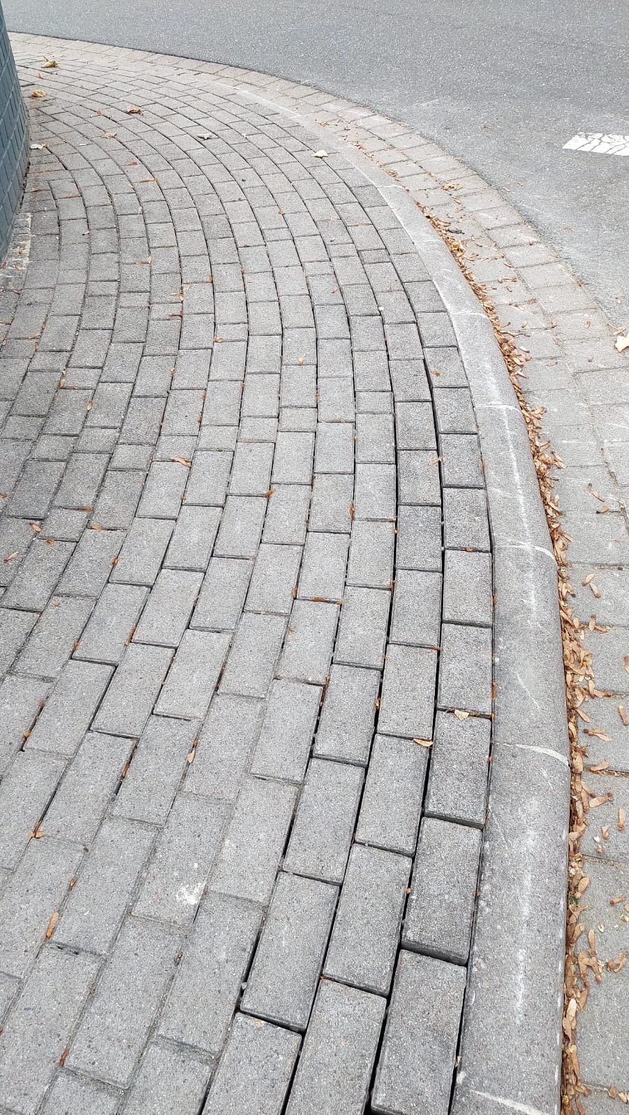 Szara kostka brukowa ułożona łukiem, oddzielona obrzeżem od asfaltu. Widoczne drobne liście na powierzchni. Ujęcie z góry, podkreślające wzór ułożenia.