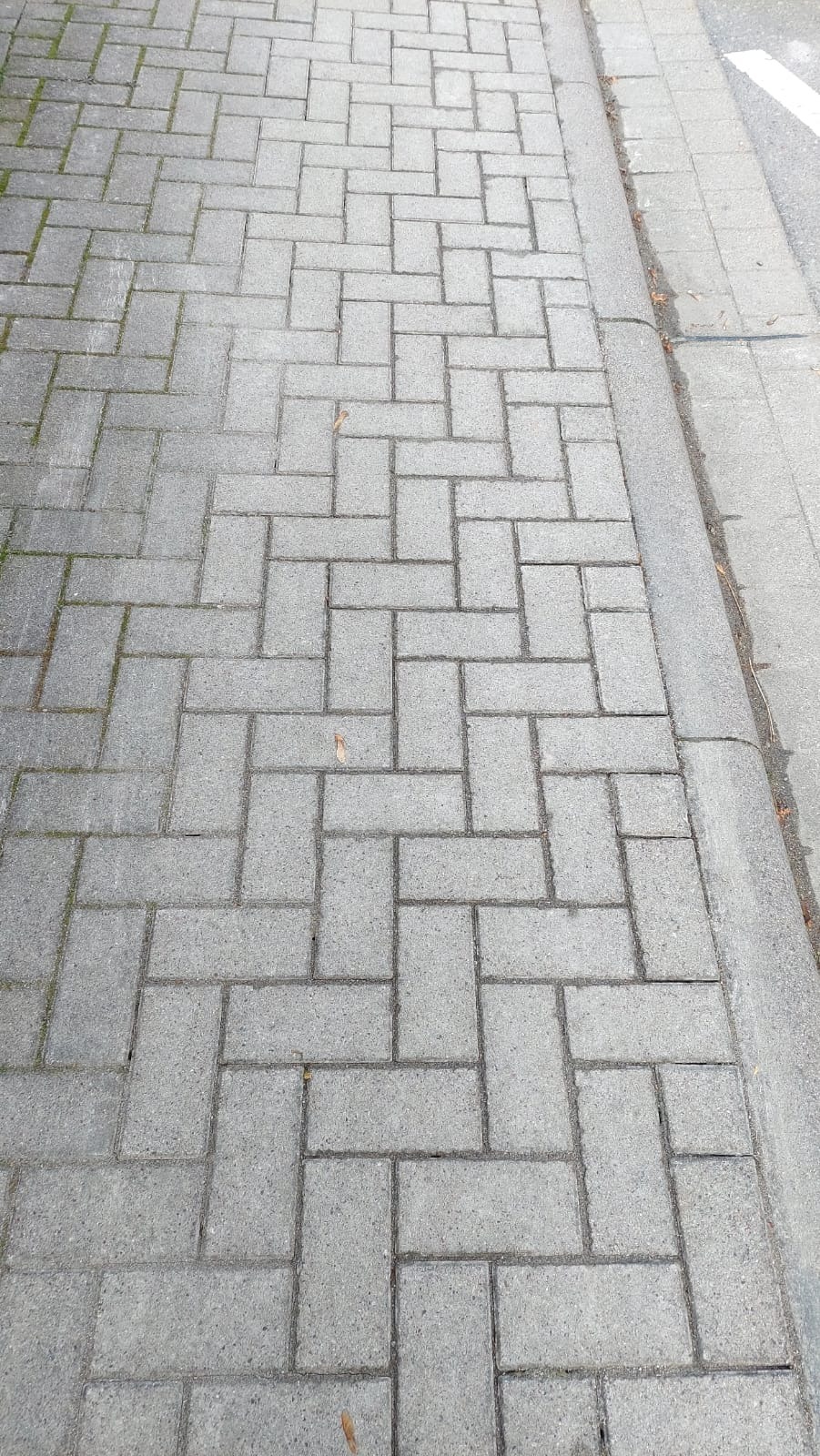 Szara kostka brukowa ułożona w jodełkę, widok z góry. Krawężnik z prawej strony. Pojedyncze liście na powierzchni kostki.