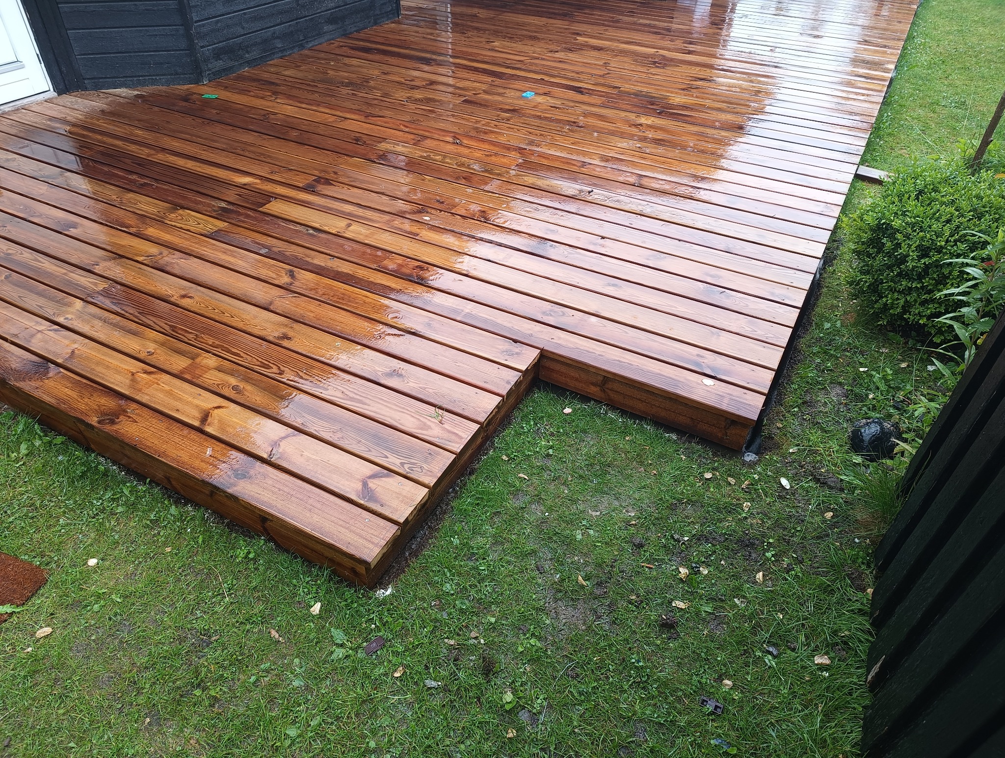 Świeżo zaimpregnowany taras z desek drewnianych, mokry od impregnatu, z widocznym fragmentem trawnika i krzewu.
