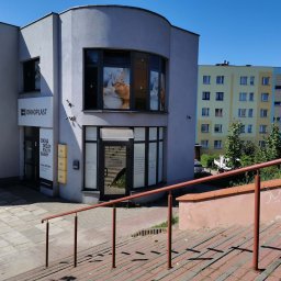 Fizjoterapeuta Kielce 1