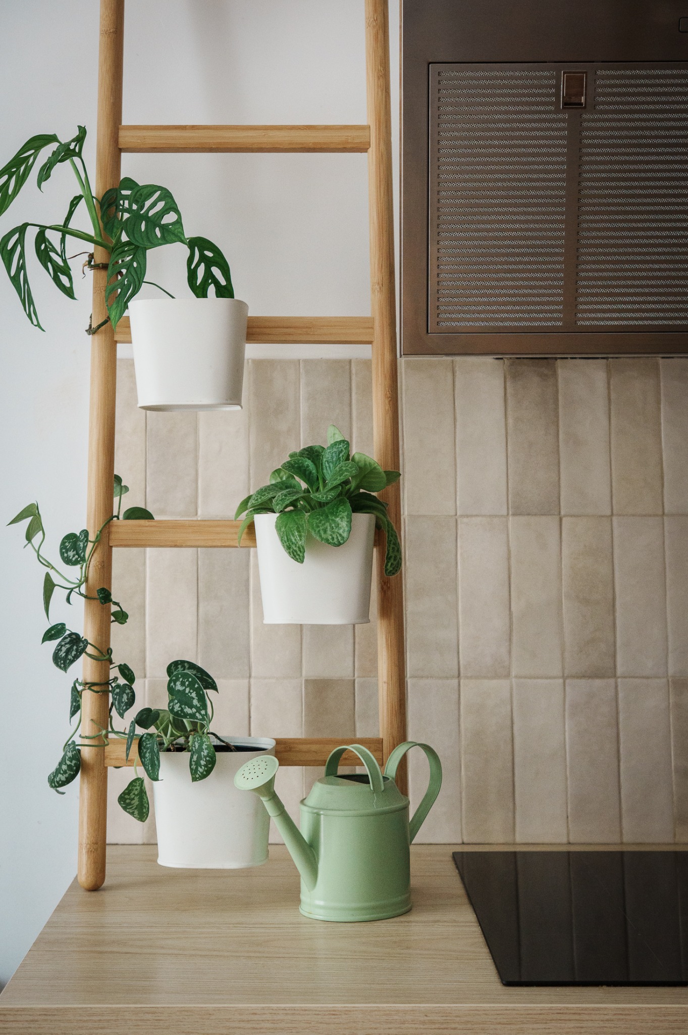 Jasna kuchnia: drewniana drabina z roślinami w białych doniczkach, zielona konewka. Minimalistyczny wystrój, beżowe płytki, drewniany blat, fragment płyty indukcyjnej.