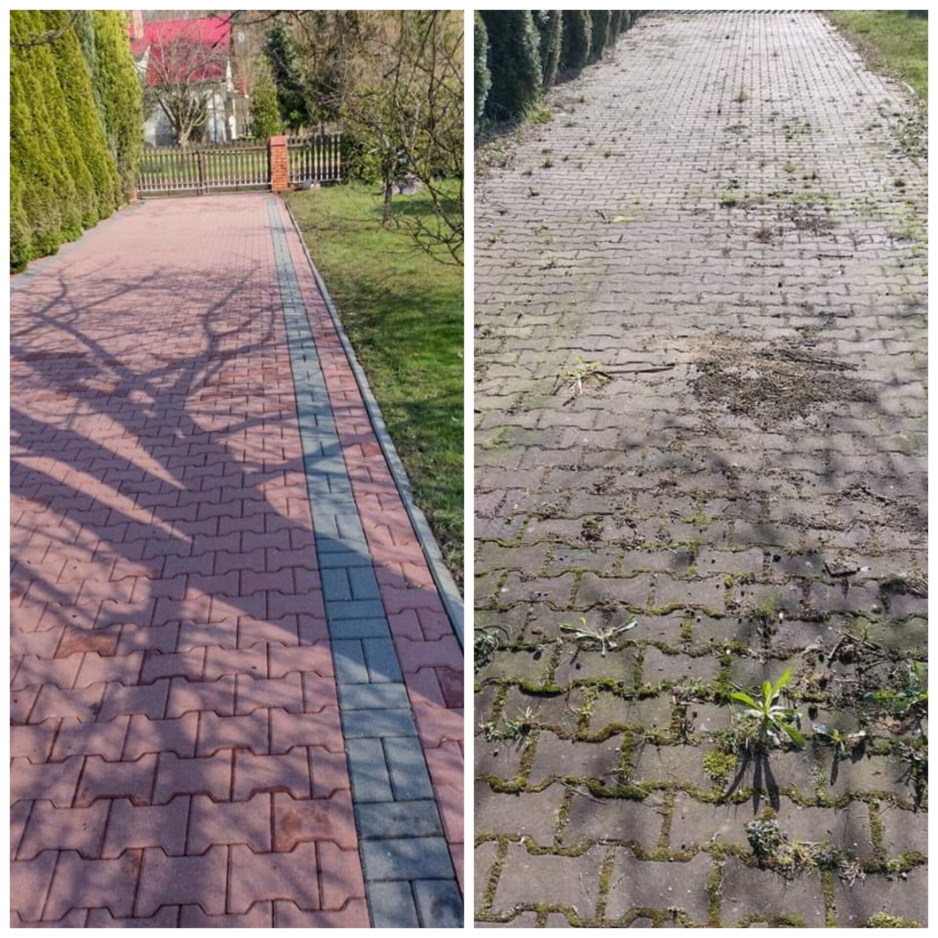 Porównanie kostki brukowej przed i po czyszczeniu: po lewej stronie świeża, czerwona kostka z szarym pasem, po prawej zaniedbana, szara kostka z mchem i chwastami.