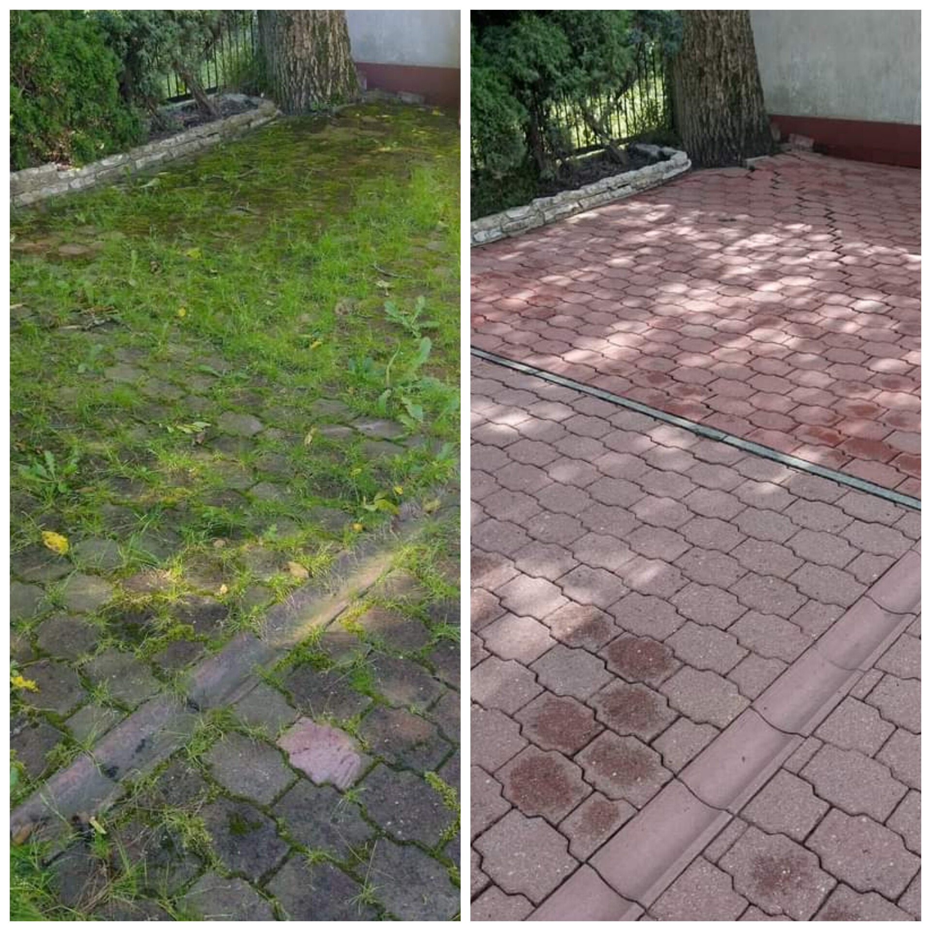 Porównanie stanu kostki brukowej przed i po czyszczeniu w Katowicach: po lewej stronie kostka porośnięta mchem i trawą, po prawej czysta, czerwona kostka brukowa z widocznymi śladami po myciu.