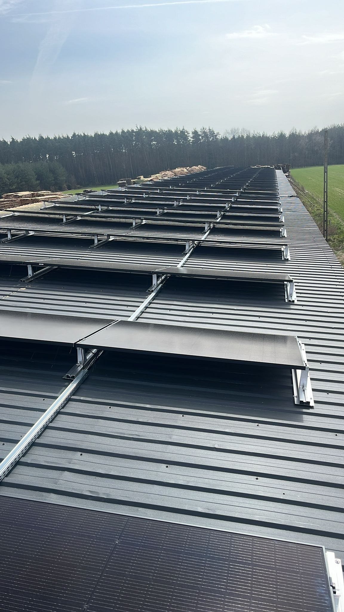 Rząd paneli słonecznych zamontowanych na metalowym dachu z widokiem na las w tle, uchwyconych pod lekkim kątem z góry.