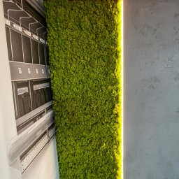 HARTMAN DM SPÓŁKA Z OGRANICZONĄ ODPOWIEDZIALNOŚCIĄ - Ściana z mchu w odcieniach zieleni, oświetlona pionową listwą LED, sąsiadująca z szarą ścianą o fakturze betonu i czarno-białą fototapetą z motywem architektonicznym.