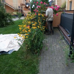 Zieliński Mateusz - Znakomite Sadzenie Roślin Poznań