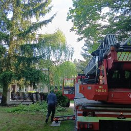 Zieliński Mateusz - Czerwony podnośnik koszowy na trawniku po wycince drzew, widoczny mężczyzna w oddali. Świeżo ścięte gałęzie leżą na trawie. Częściowo widoczny budynek w tle.