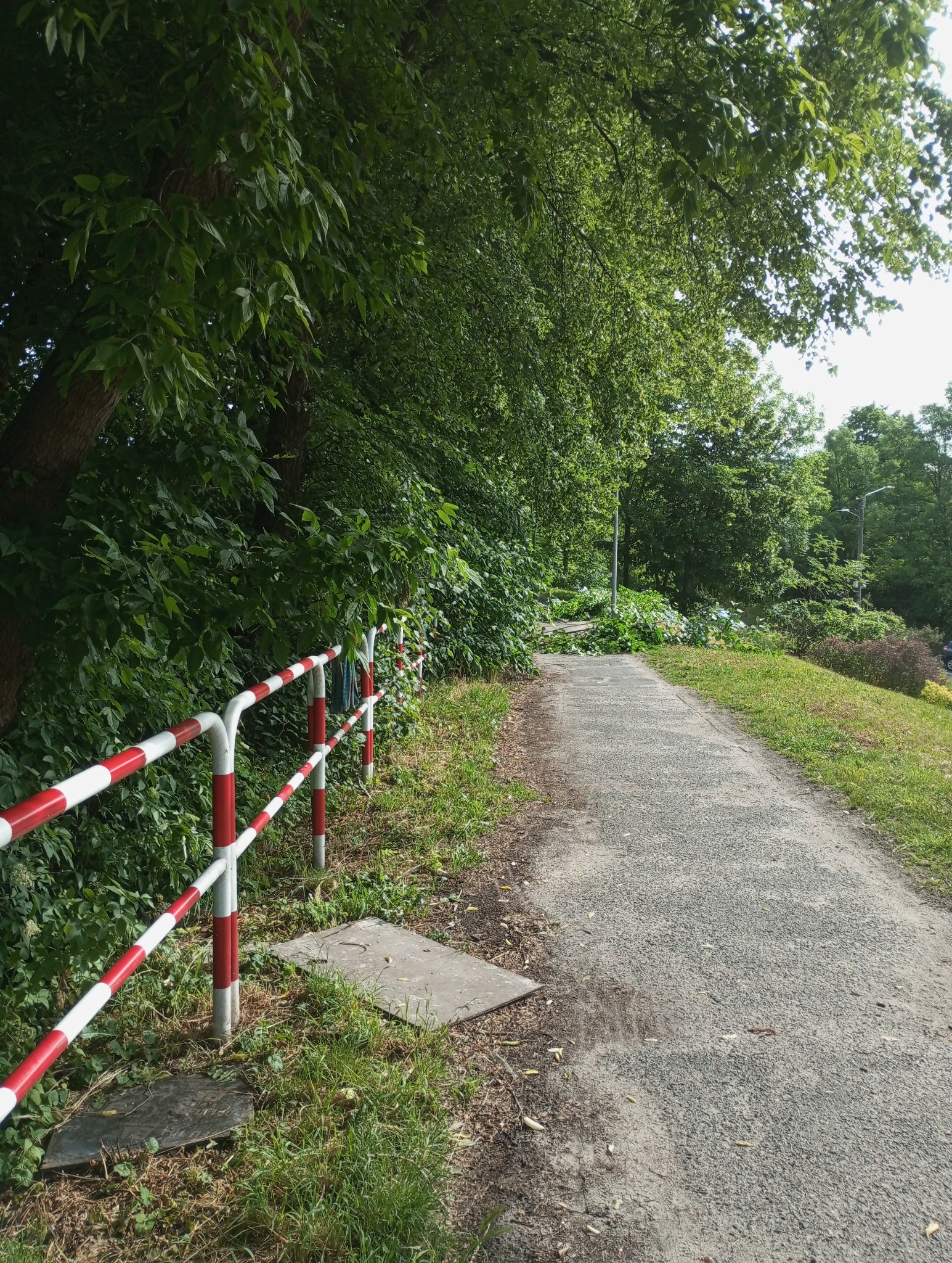 Ścieżka spacerowa z czerwono-białą barierką, obok leżą ścięte gałęzie i liście, drzewa po obu stronach ścieżki.