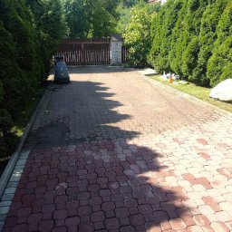 Puc Majster Małopolska - Częściowo wyczyszczona kostka brukowa na długim podjeździe, widoczna myjka ciśnieniowa, ciemne tuje po bokach i jasne plamy po czyszczeniu.