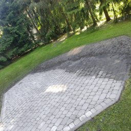 Puc Majster Małopolska - Częściowo wyczyszczona kostka brukowa w ogrodzie, widoczna różnica w kolorze między umytą a brudną powierzchnią, otoczona zielonym trawnikiem i drzewami iglastymi.