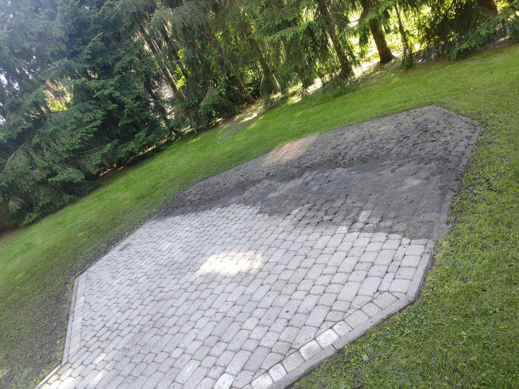 Częściowo wyczyszczona kostka brukowa w ogrodzie, widoczna różnica w kolorze między umytą a brudną powierzchnią, otoczona zielonym trawnikiem i drzewami iglastymi.