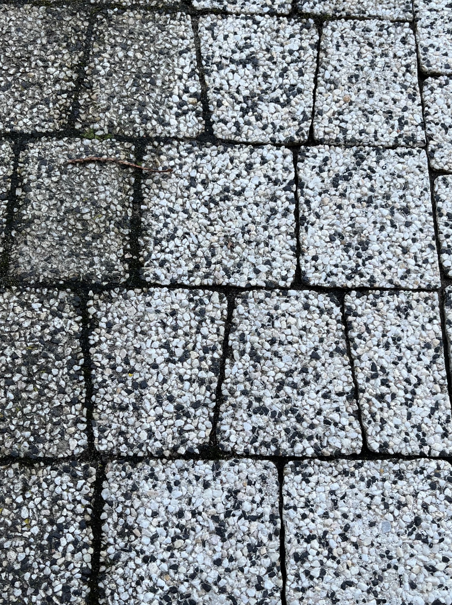 Nierównomiernie wyczyszczona kostka brukowa z widocznymi ciemnymi zabrudzeniami w fugach i na powierzchni niektórych kostek, z fragmentem gałązki na jednej z nich.