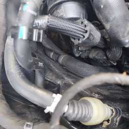 Transport busem Gdańsk 2