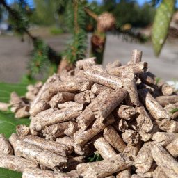 FLYAGDATA SPÓŁKA Z OGRANICZONĄ ODPOWIEDZIALNOŚCIĄ - Stos pelletu drzewnego ułożony na dużym zielonym liściu, w tle iglaste drzewo i błękitne niebo.