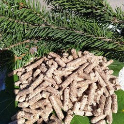 FLYAGDATA SPÓŁKA Z OGRANICZONĄ ODPOWIEDZIALNOŚCIĄ - Stos pelletu drzewnego ułożony na dużym zielonym liściu, z gałązką świerku w tle.