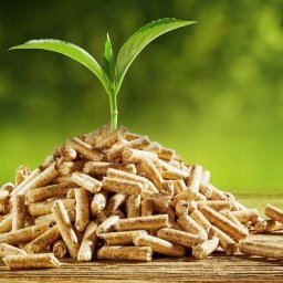 PelletPro dba o środowisko, oferując pellety wytwarzane z odnawialnych surowców, które emitują minimalną ilość zanieczyszczeń i popiołu. 