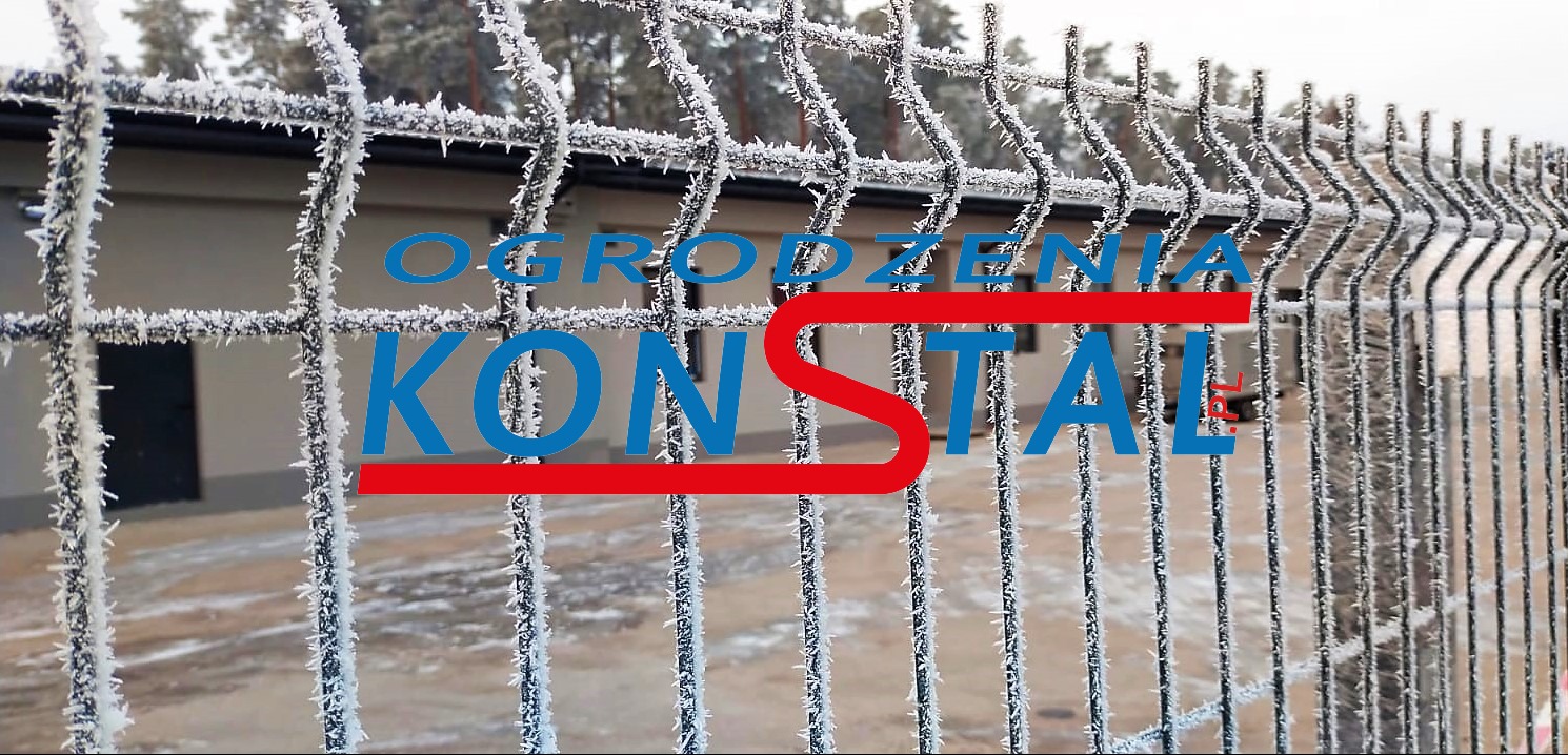 Metalowa siatka ogrodzeniowa pokryta szronem w zimowy dzień, z budynkiem w tle.