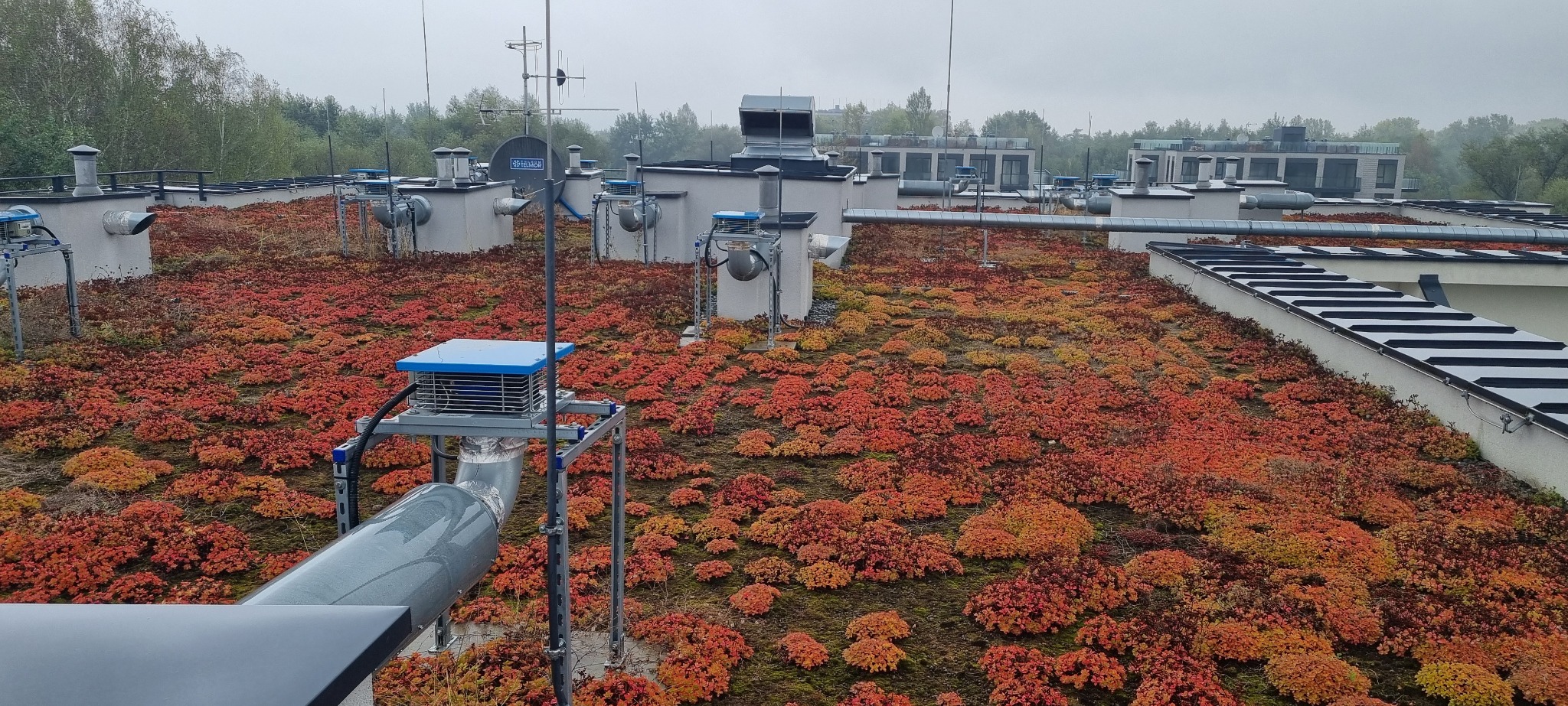 Rozległy zielony dach z czerwono-pomarańczowymi rozchodnikami na budynku z licznymi instalacjami technicznymi, w tle zalesiony teren.