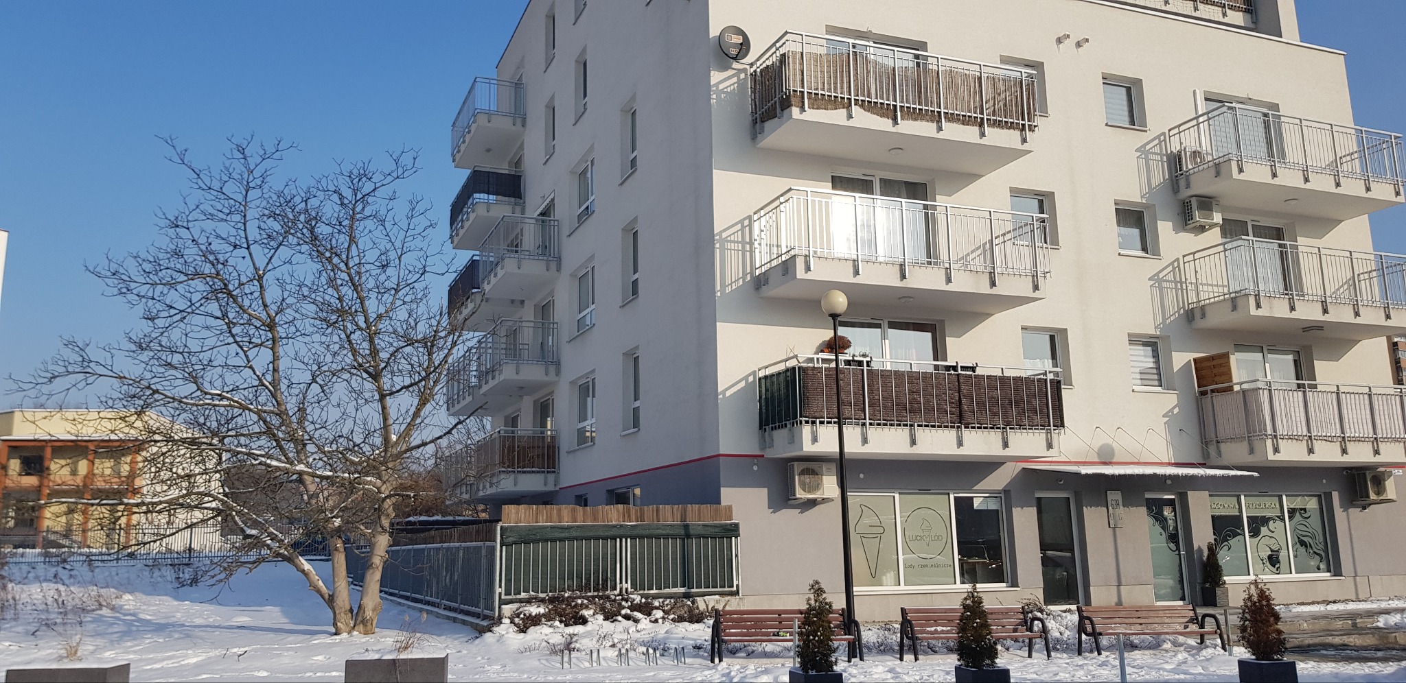 Nowoczesny budynek apartamentowy z balkonami w zimowej scenerii, z widocznym ośnieżonym drzewem i lokalami usługowymi na parterze.