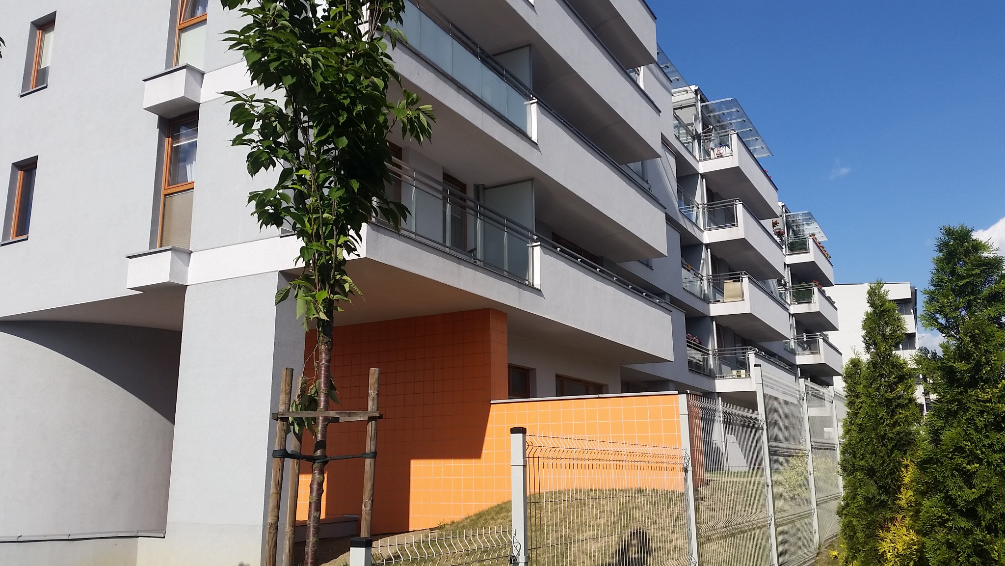 Nowoczesny budynek apartamentowy z balkonami, pomarańczową elewacją i młodym drzewem zabezpieczonym palikami.